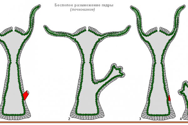 Кракен официальный сайт