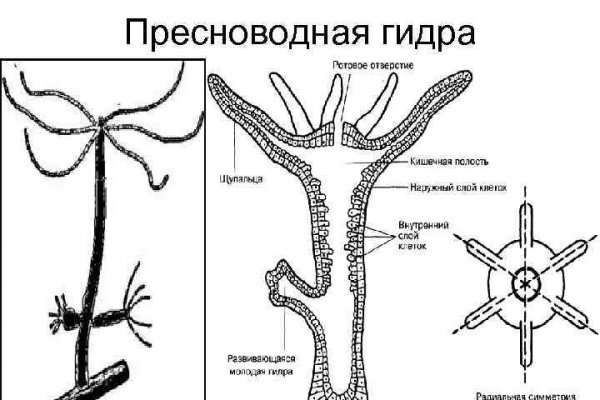 Кракен даркнет зеркало